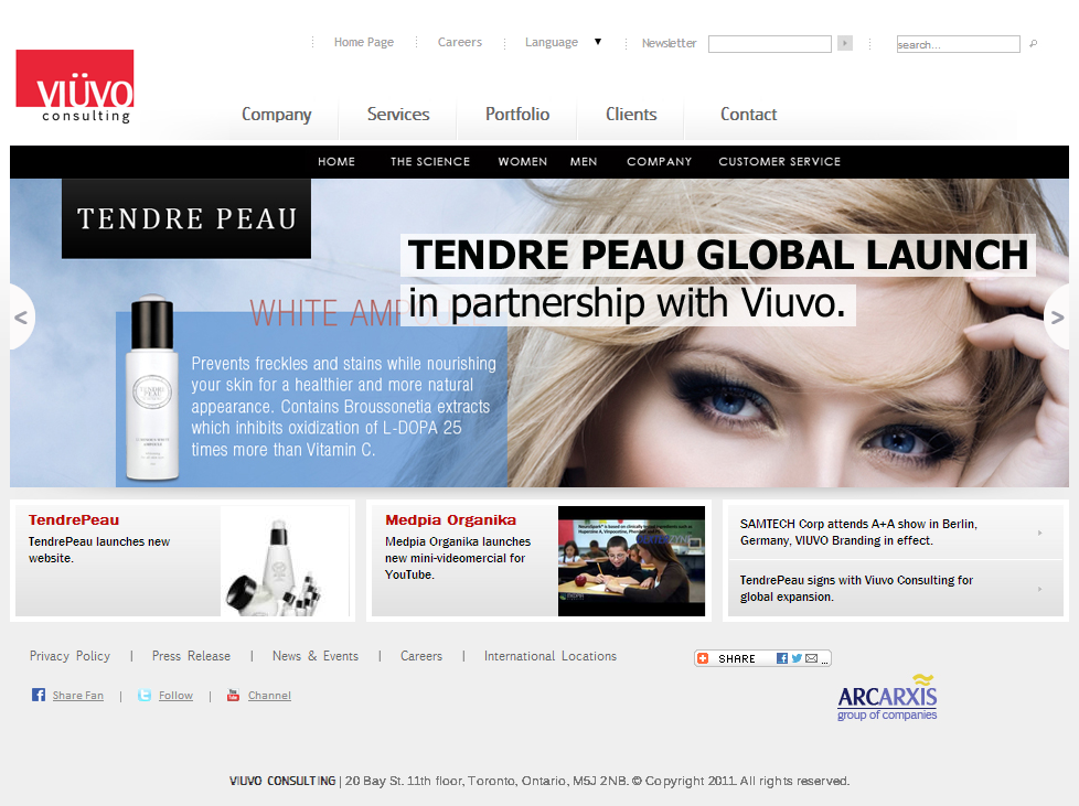 2014-05-27 13_36_09-VIUVO Consulting _.png