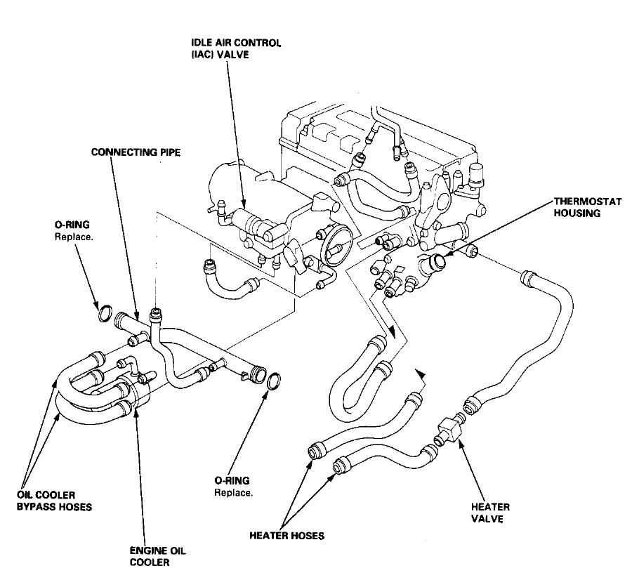 c6.jpg
