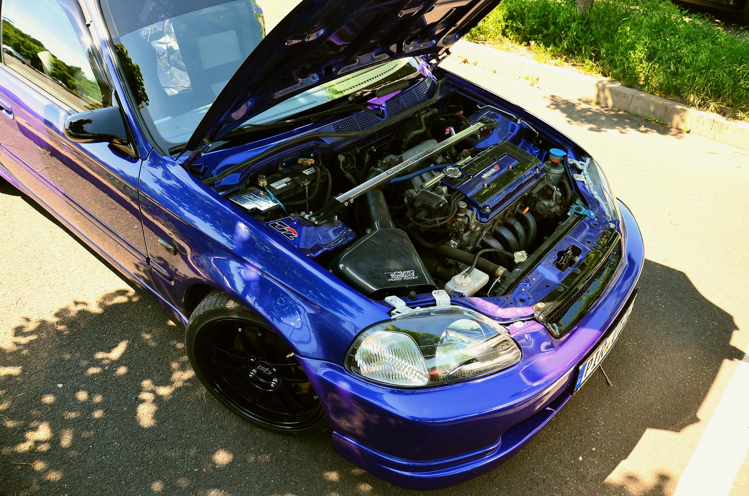 DSC_0009.jpg