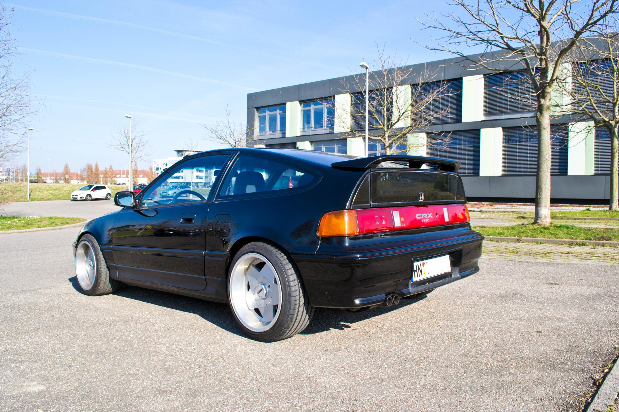DSC_0442.jpg