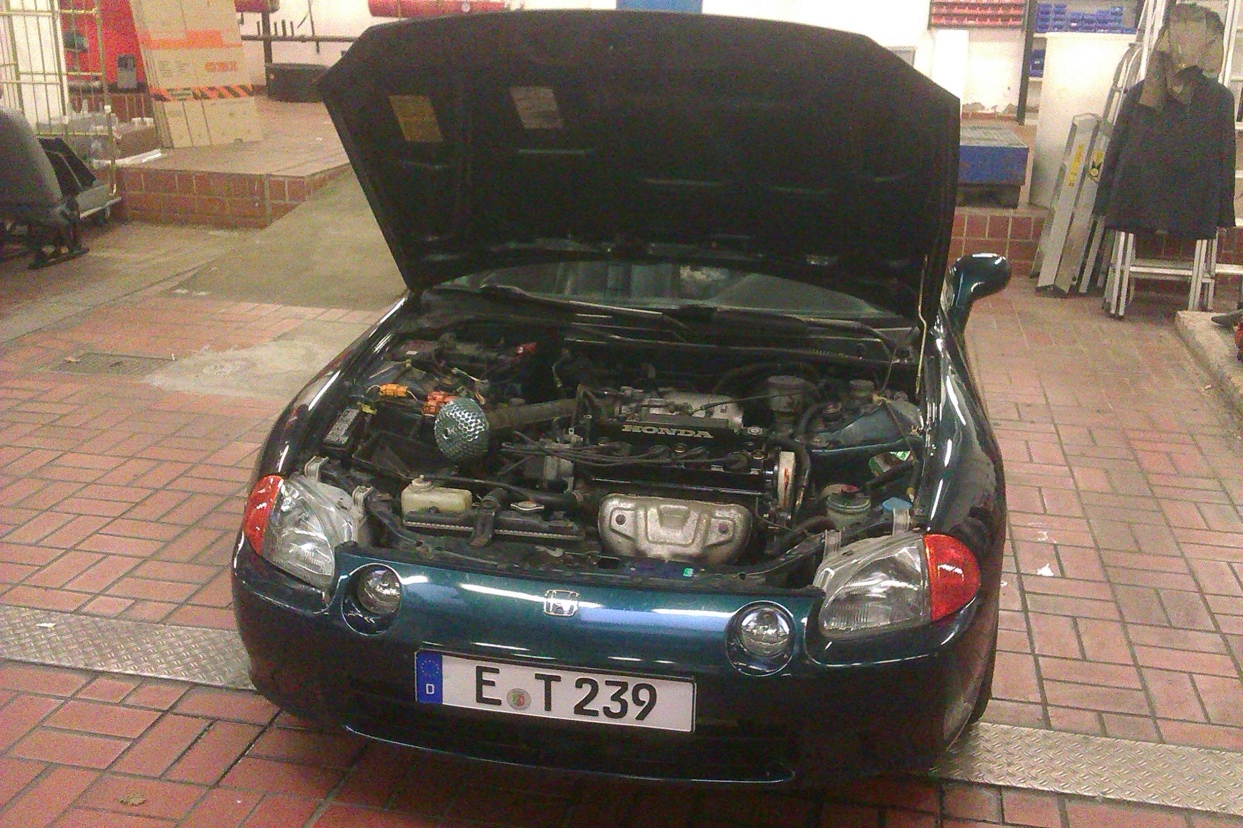 IMAG0639.jpg