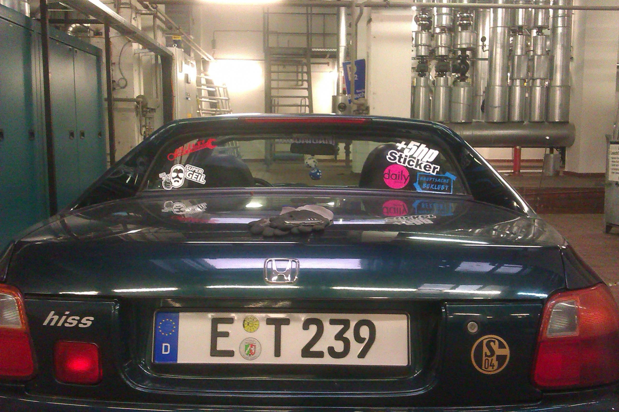 IMAG0663.jpg