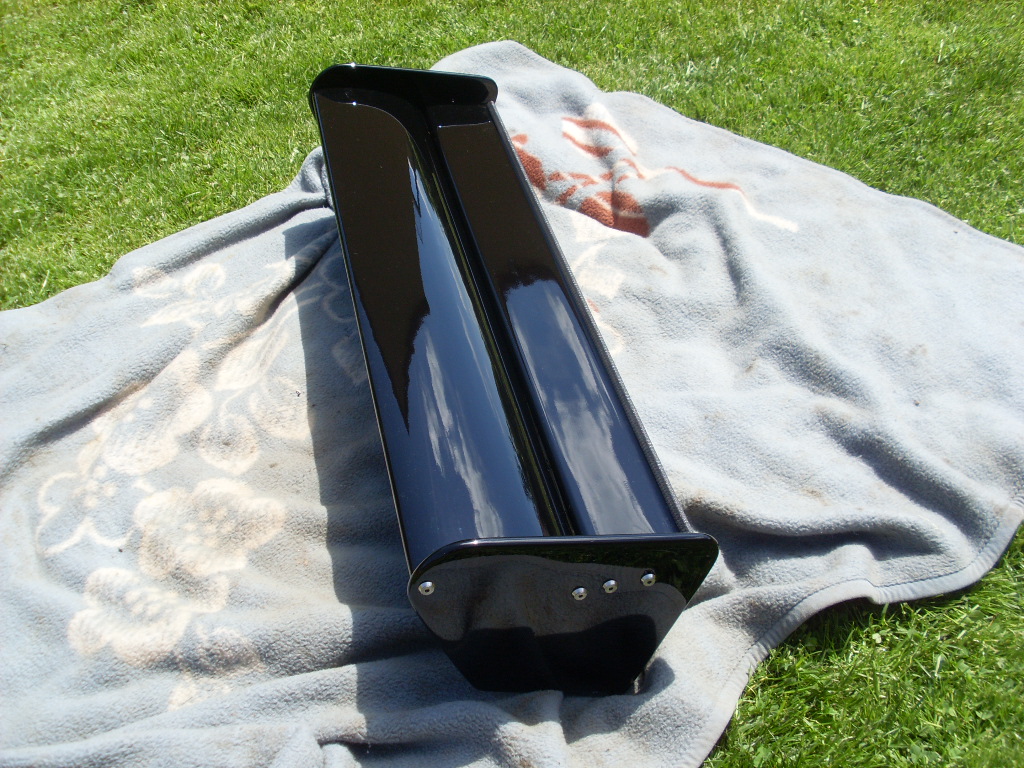 SL384753.JPG