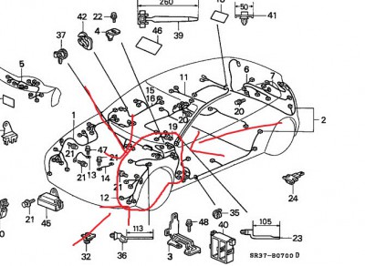 B__0700.jpg
