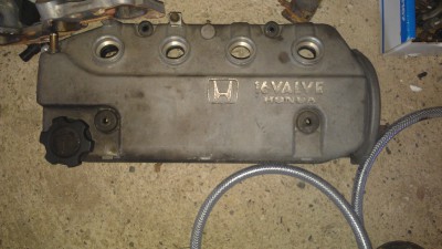 IMAG0705.jpg