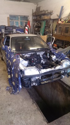 IMAG0710.jpg