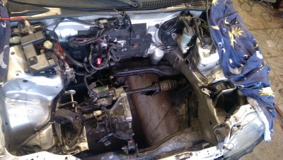 IMAG0712.jpg