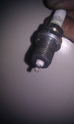 IMAG1234.jpg