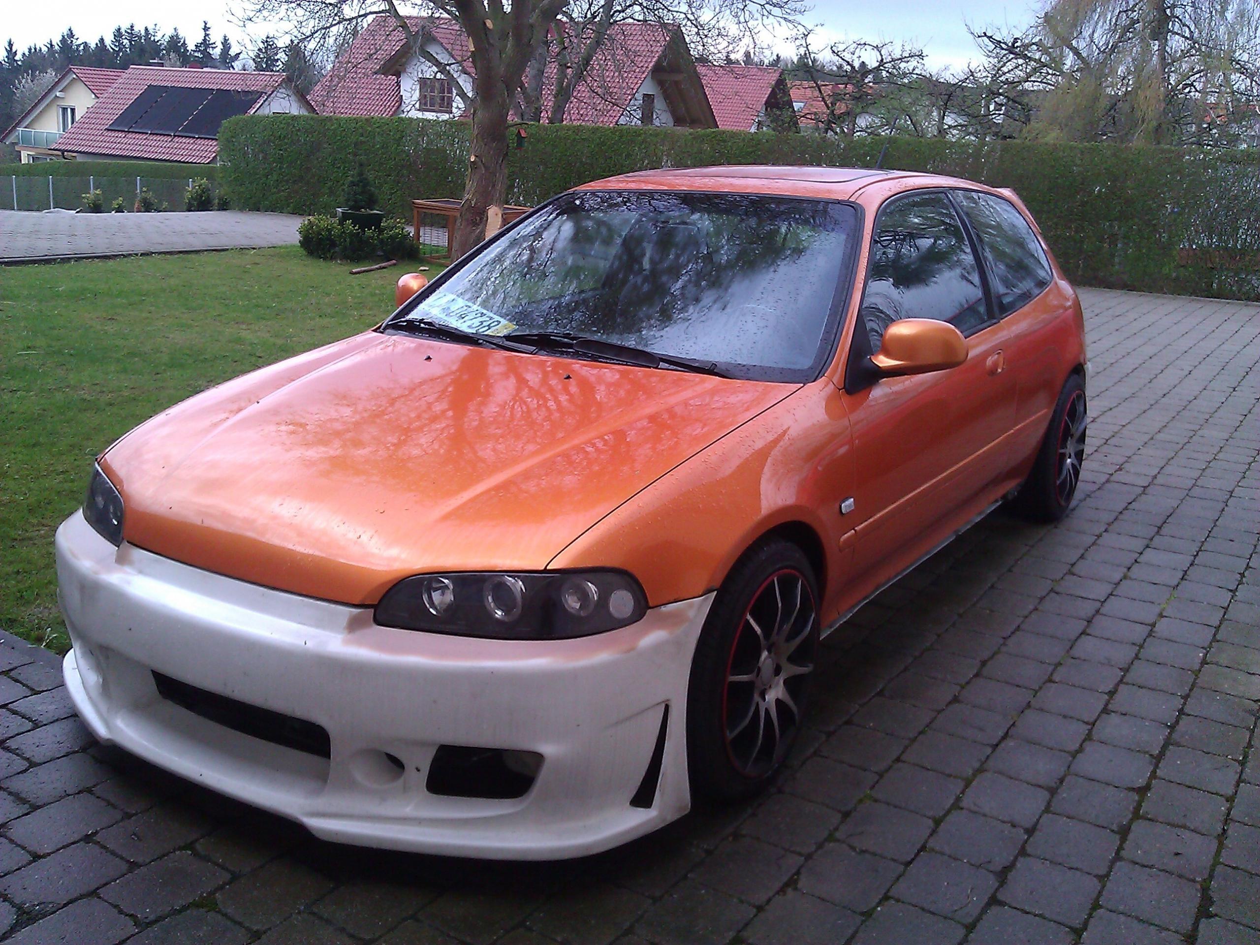 WP_000280.jpg