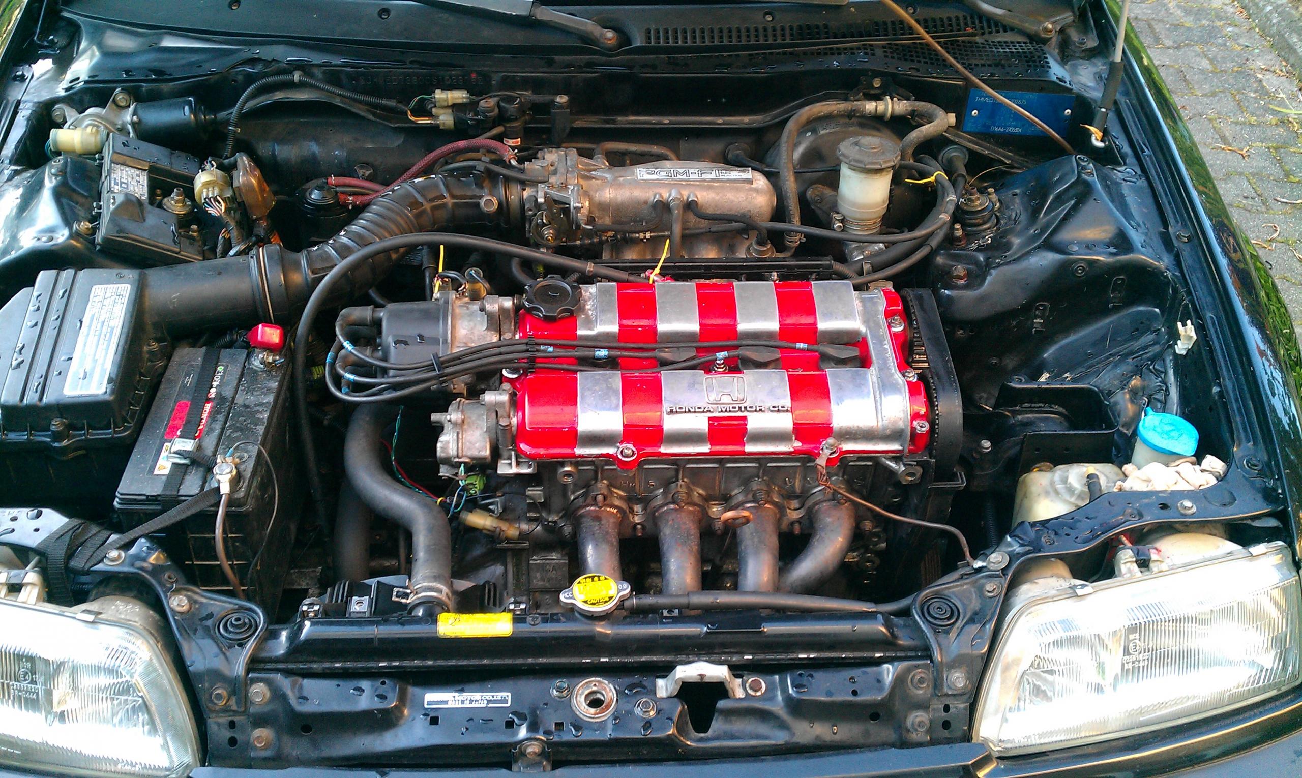 IMAG0740.jpg