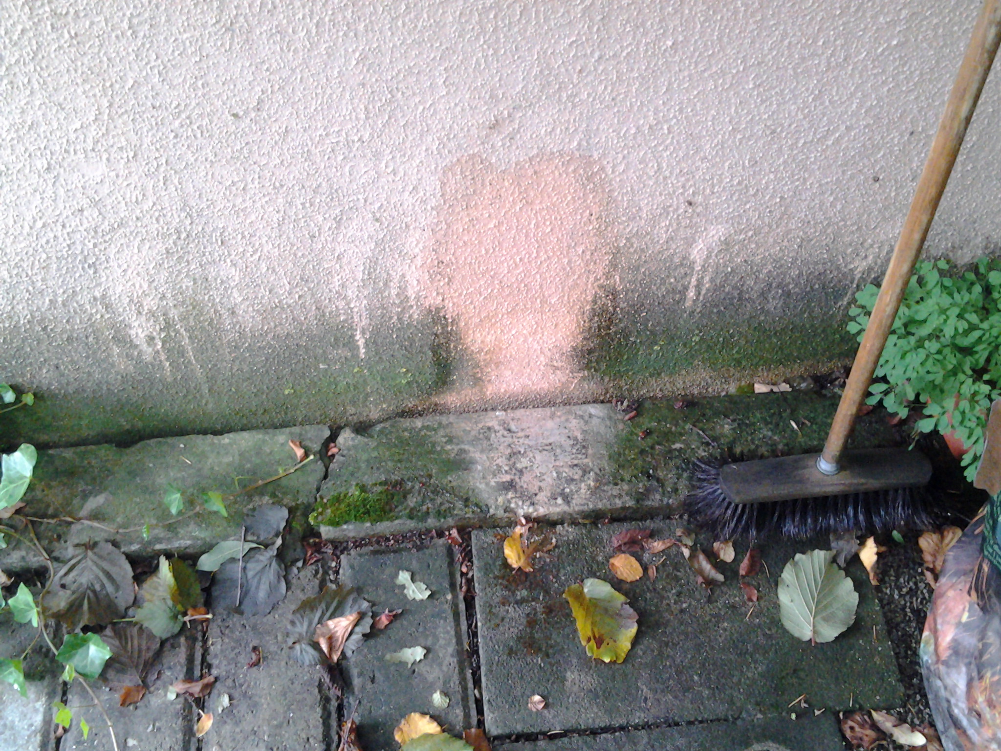 20140710_142238.jpg