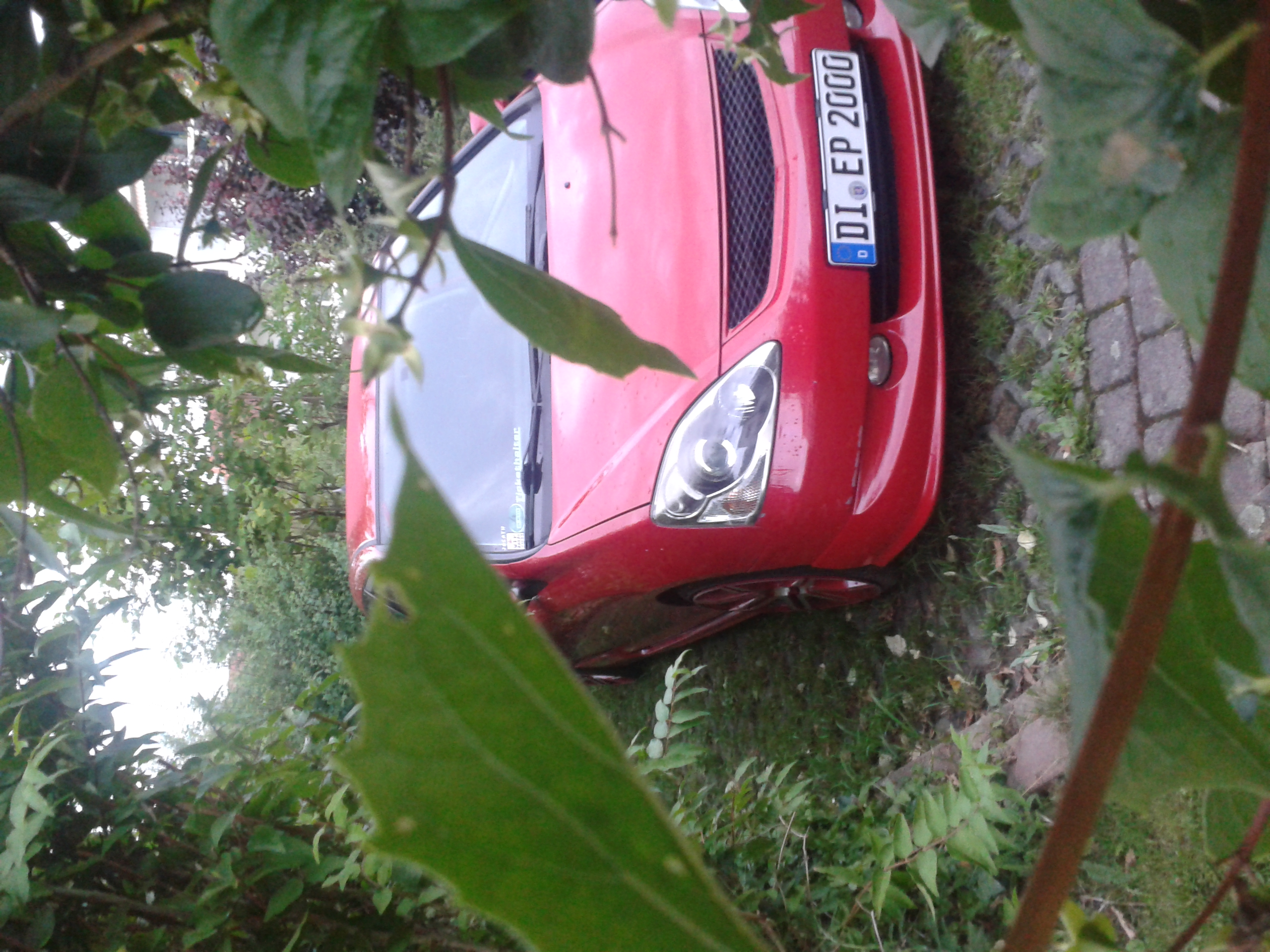 20140711_211155.jpg
