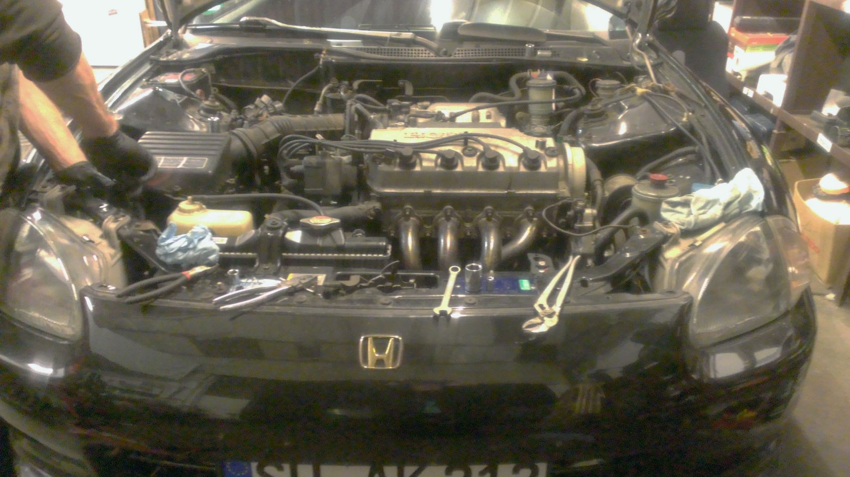 2014-07-16 07.33.07.jpg