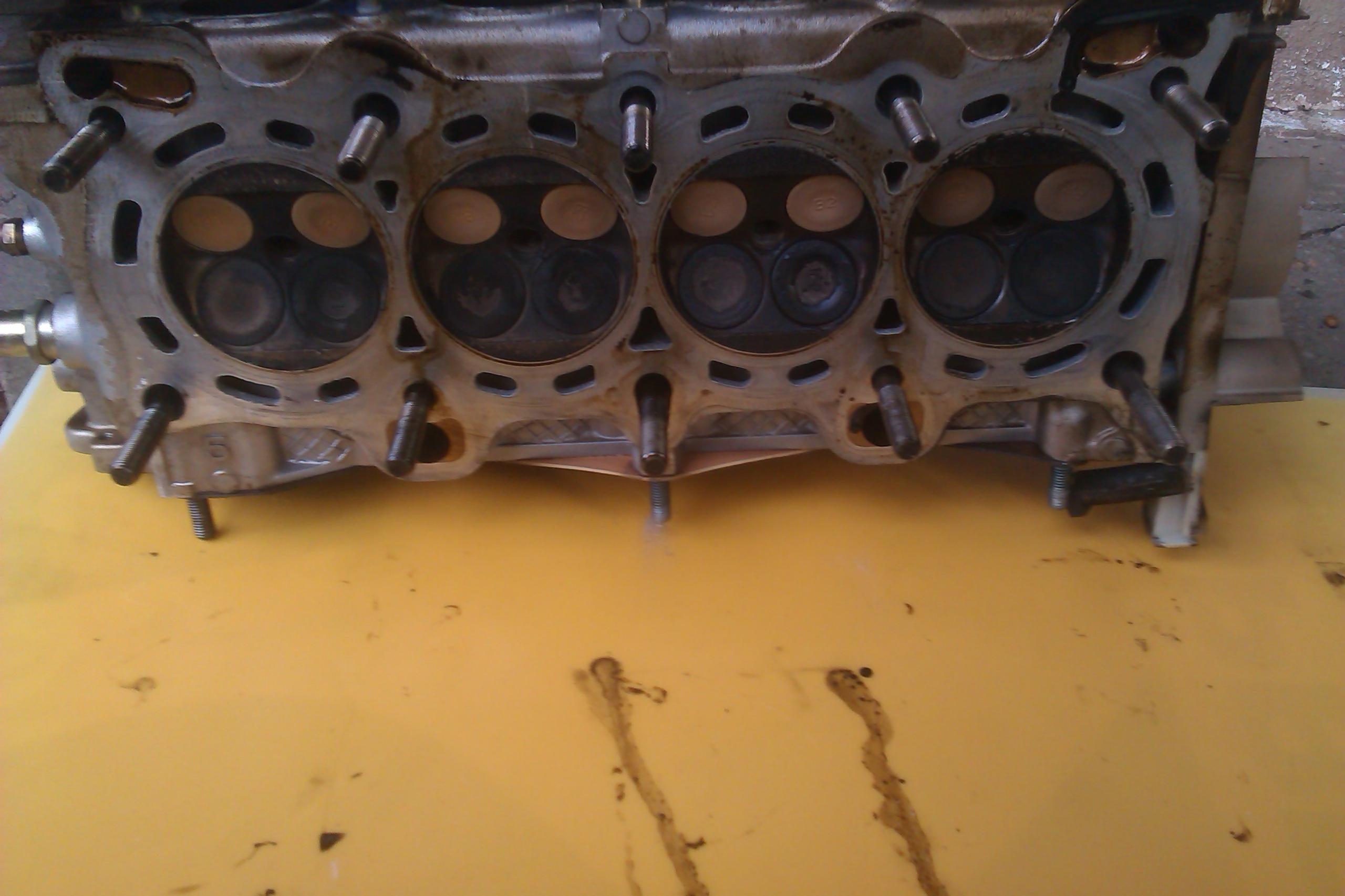 IMAG0720.jpg
