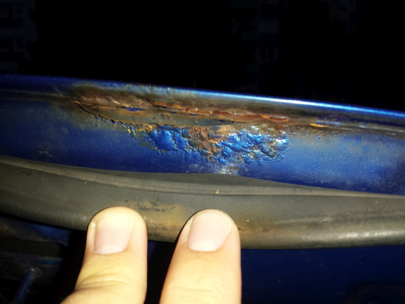 rost2.jpg