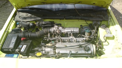 CRX AF 028.JPG