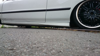 DSC_0313[1].JPG