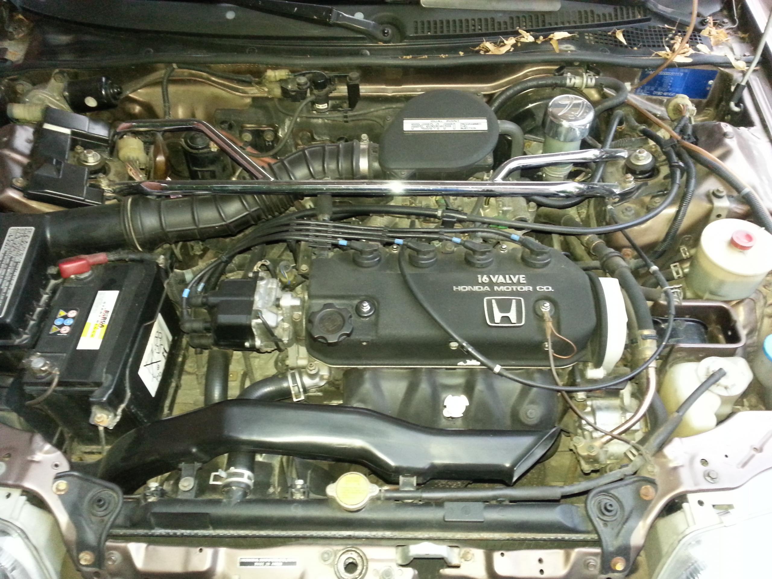 20140730_210742.jpg