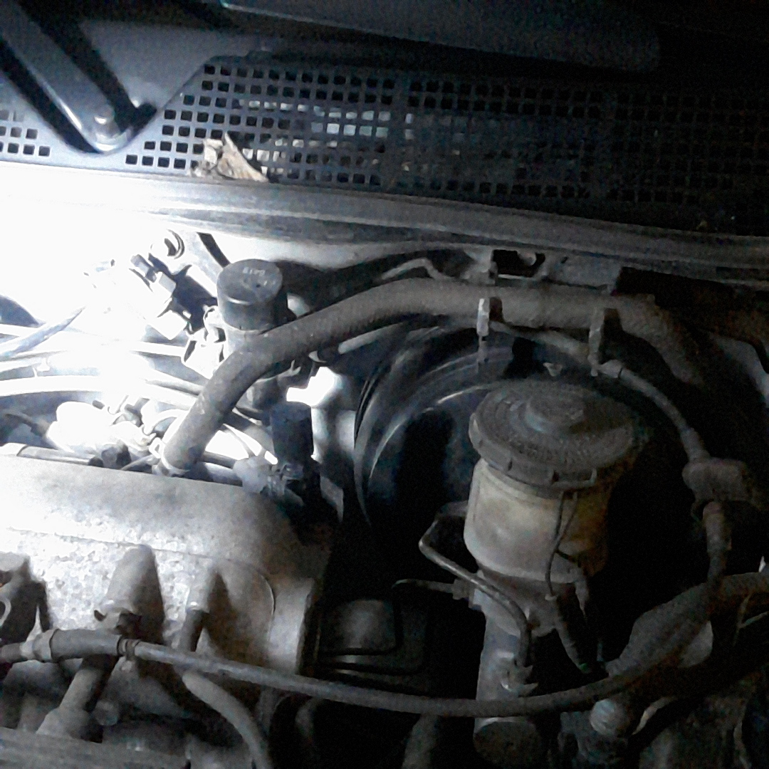 20140804_183141.jpg