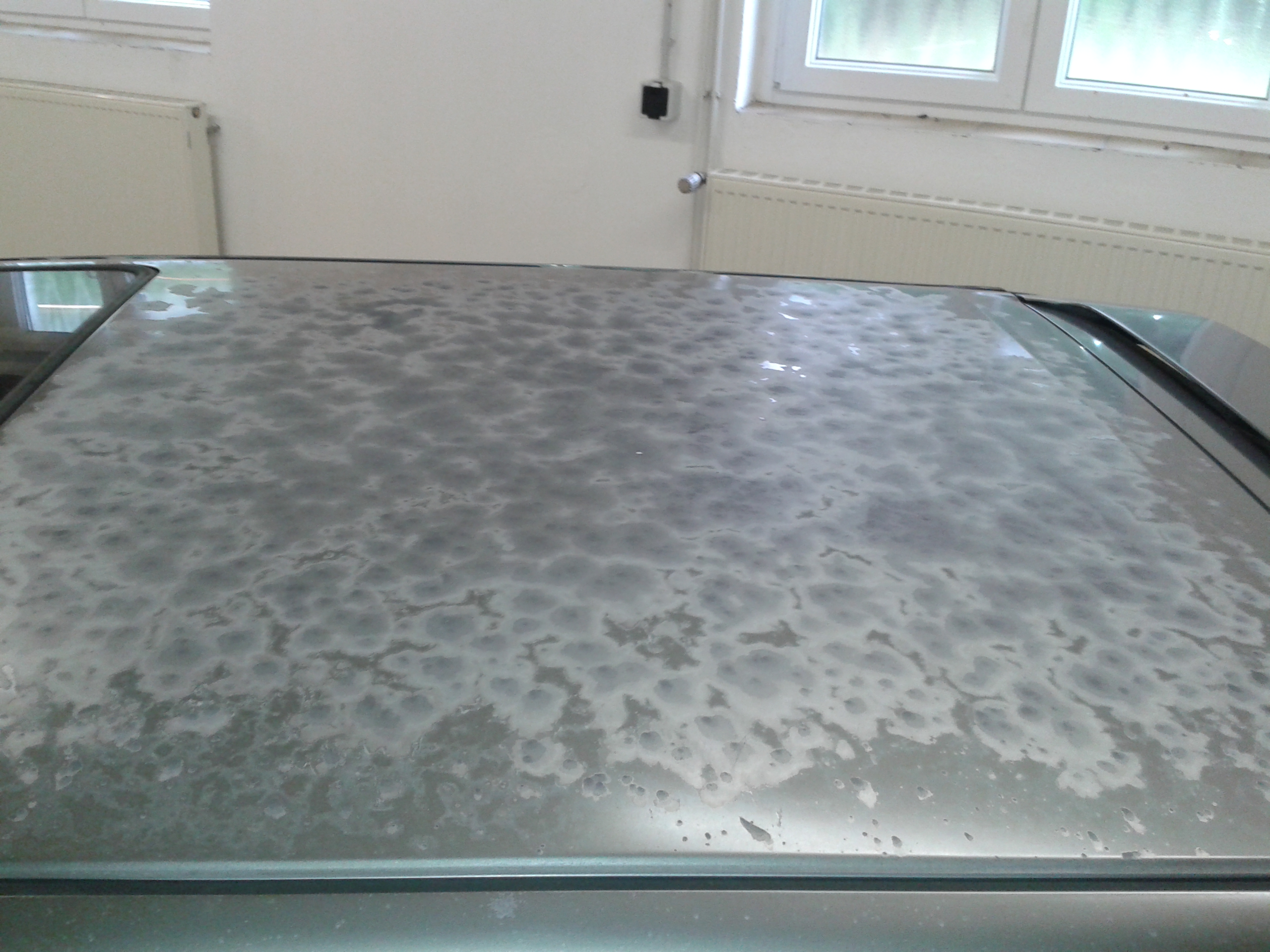 20140816_123720.jpg