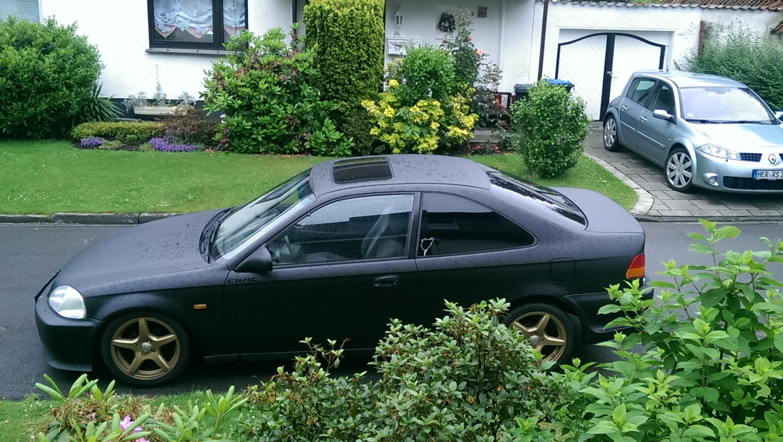 IMAG0297.jpg