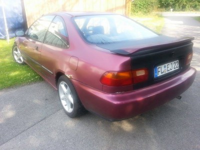 Bild hinten Seite fahrer.jpg
