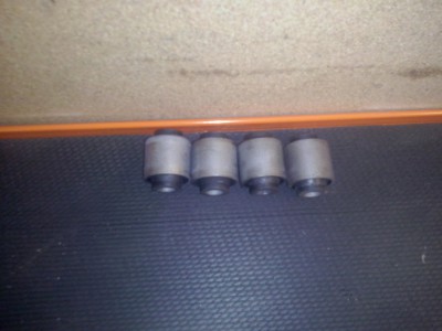CAM00231.jpg