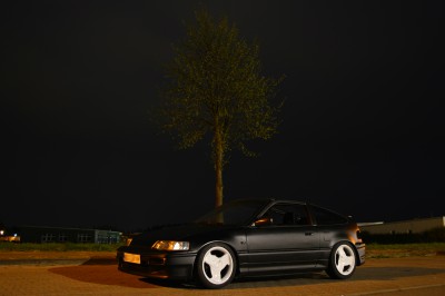 DSC_0055dd.jpg