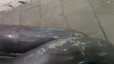 IMAG0037.jpg
