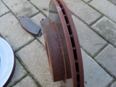 SL384817.JPG