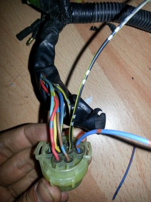 Stecker.jpg