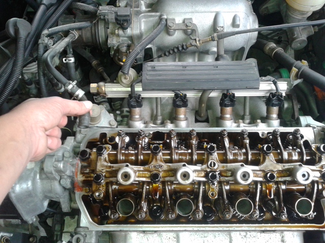 20140911_115258.jpg