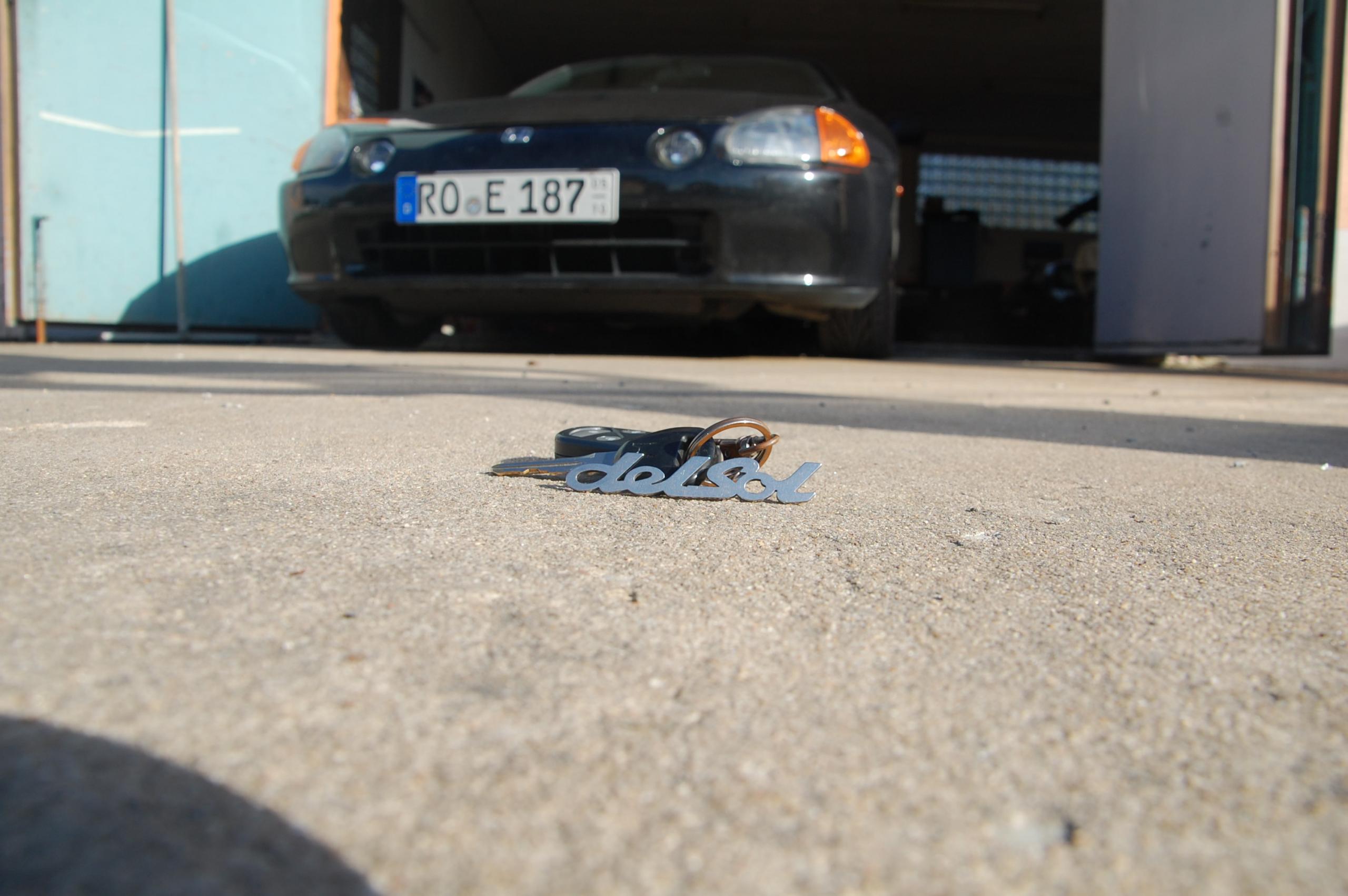 DSC_0608.JPG