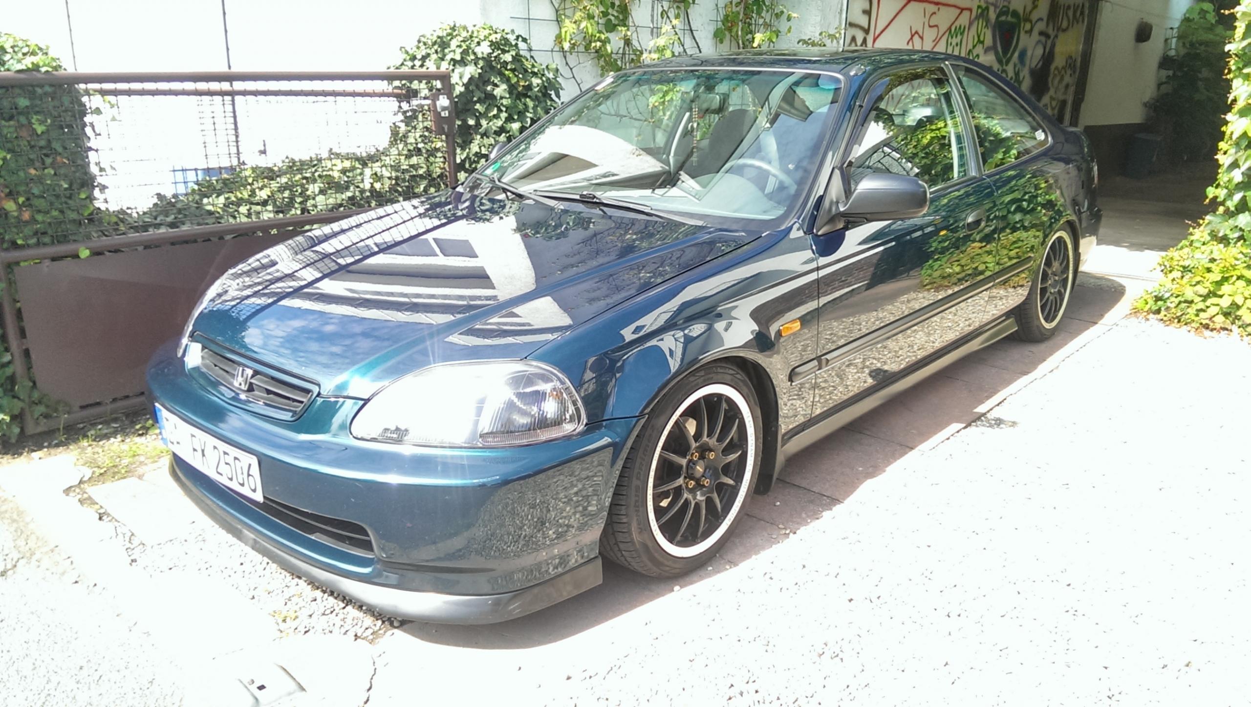 IMAG1294.jpg