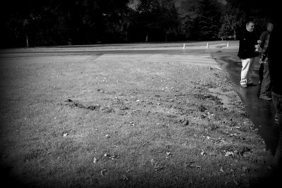 Ab durch die Hecke.jpg