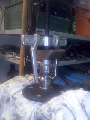 CAM00264.jpg