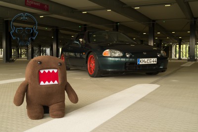 Domo FOR.jpg