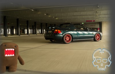 Domo FOR2.jpg