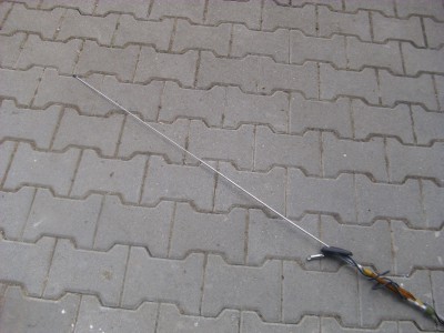DSCI0208.JPG