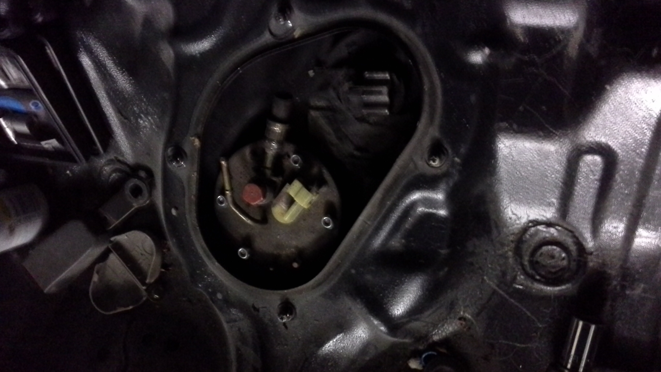 20141031_154650.jpg