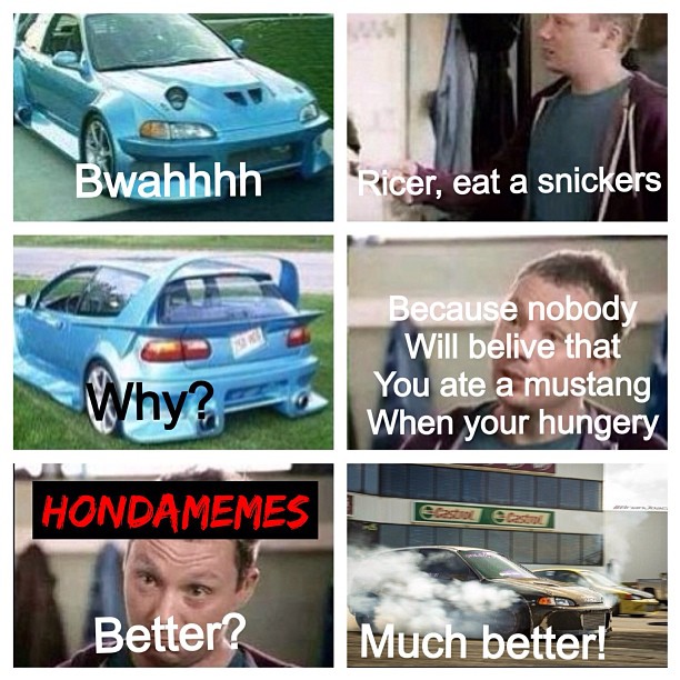 9876cd56c26c11e2a84922000a1f8c0f_7.jpg