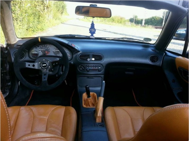 Del sol INnen.jpg