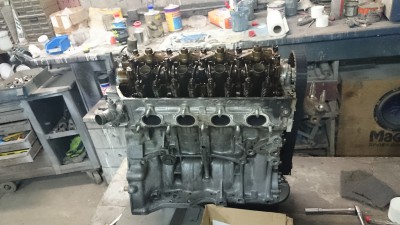 DSC_4051[1].JPG