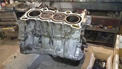 DSC_4054[1].JPG
