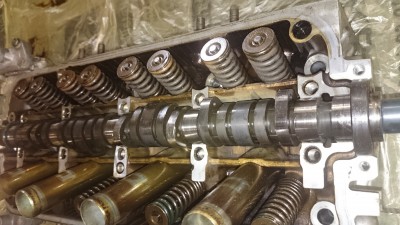 DSC_4185[1].JPG