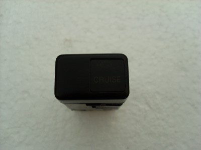 SL384932.JPG