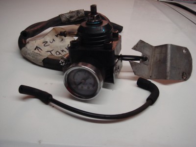 Swift 008.JPG