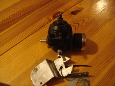 Swift 010.JPG