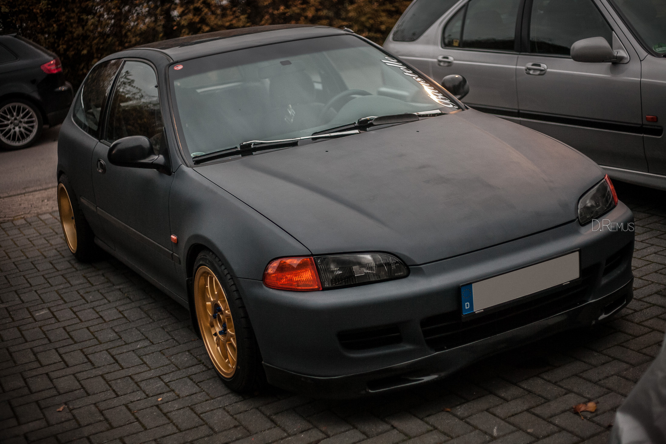 _MG_3280.jpg