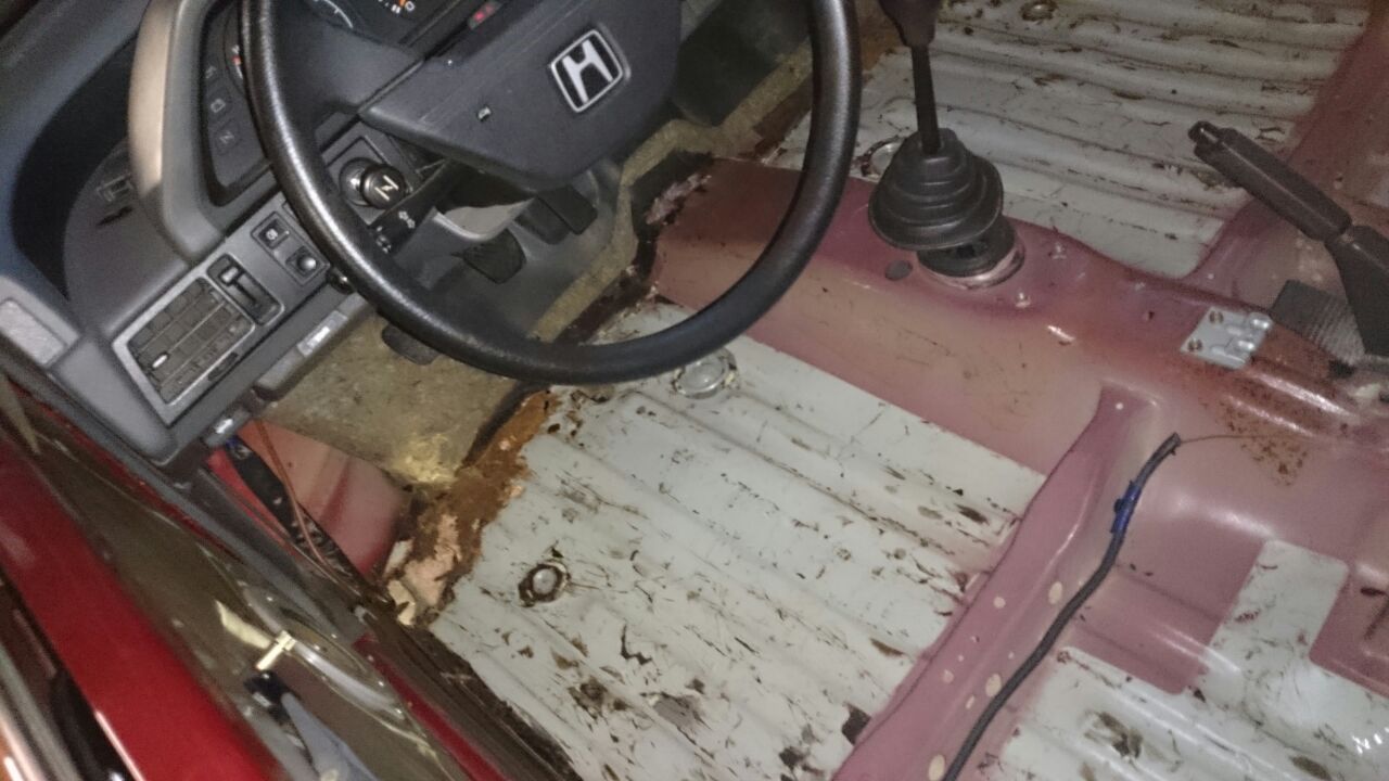 IMG-20141119-WA0006.jpg
